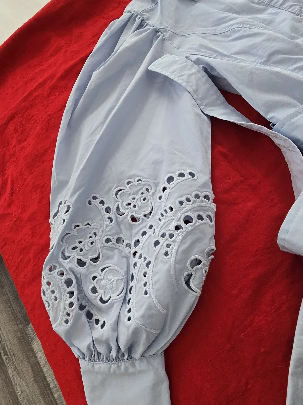 Light Blue Embroidered Balloon Sleeve Blouse